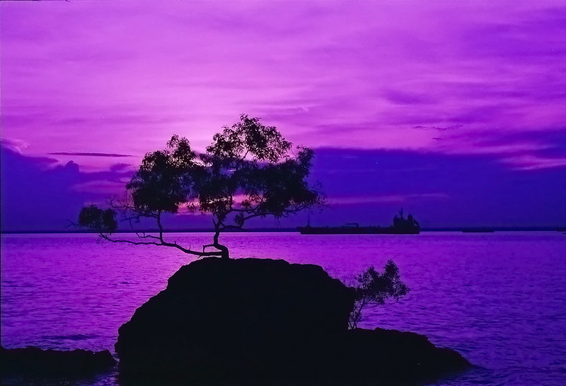 diskusi-kamar-gelap-film-bw---part-2