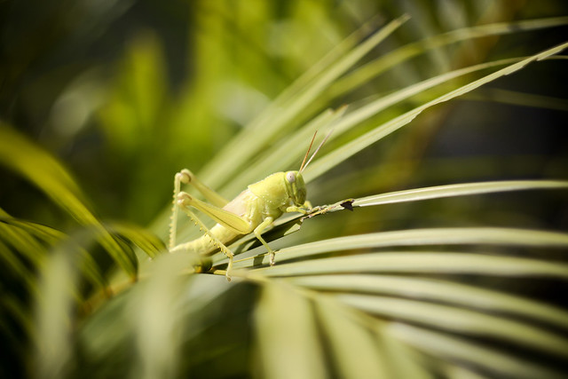 nongkrong-bareng-yang-masih-amatiran-dan-newbie---part-4