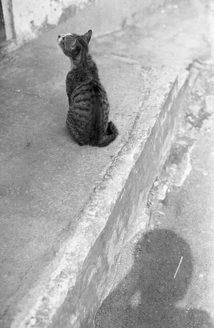 nongkrong-bareng-analog---film-camera---part-4