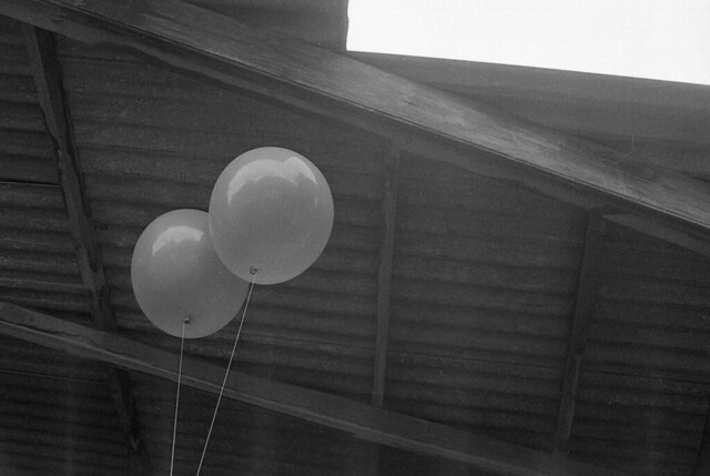 nongkrong-bareng-analog---film-camera---part-4