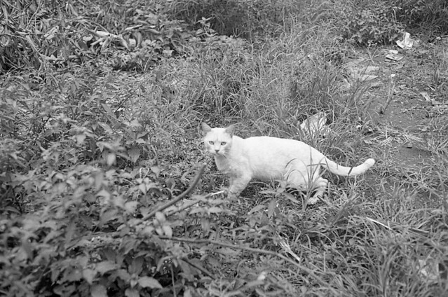 nongkrong-bareng-analog---film-camera---part-4