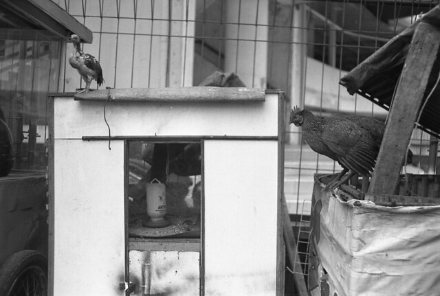 nongkrong-bareng-analog---film-camera---part-4