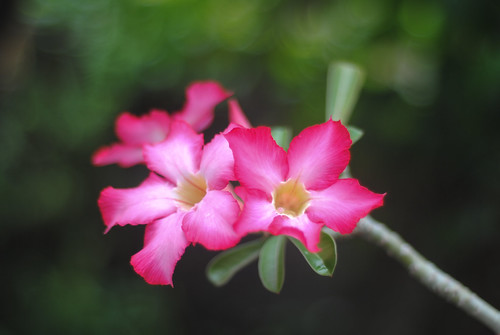 nongkrong-bareng-yang-masih-amatiran-dan-newbie---part-4