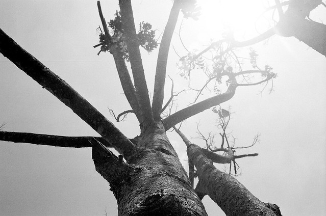 nongkrong-bareng-analog---film-camera---part-4