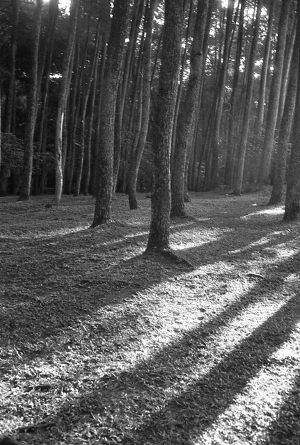 nongkrong-bareng-analog---film-camera---part-4