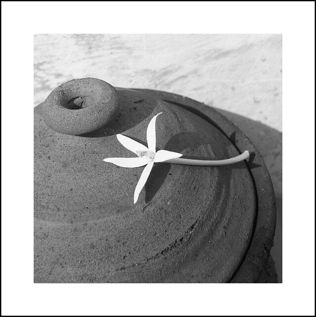 nongkrong-bareng-analog---film-camera---part-4