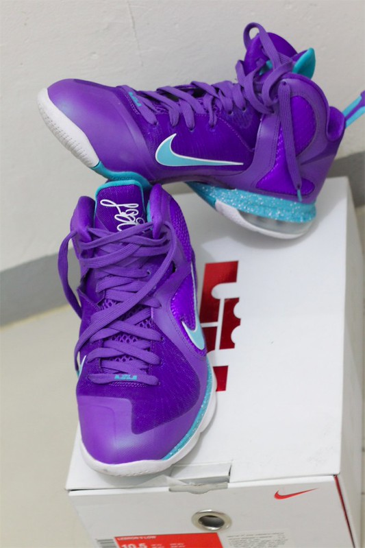 lebron 12 hornets