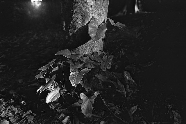 nongkrong-bareng-analog---film-camera---part-4