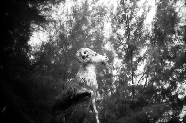 nongkrong-bareng-analog---film-camera---part-4