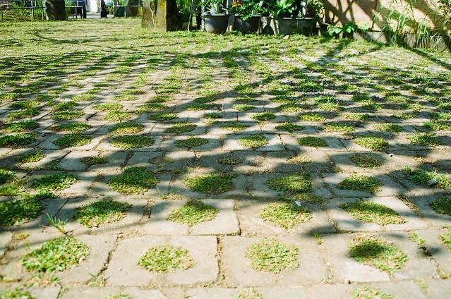 nongkrong-bareng-analog---film-camera---part-4