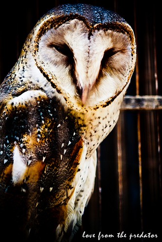 kampung-canoners---part-13