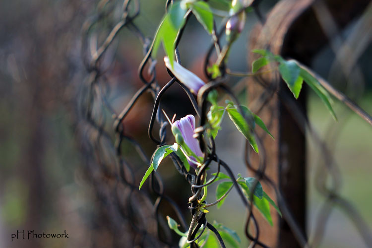 saung-lensa-manual---part-2