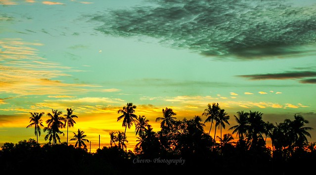 kampung-canoners---part-13