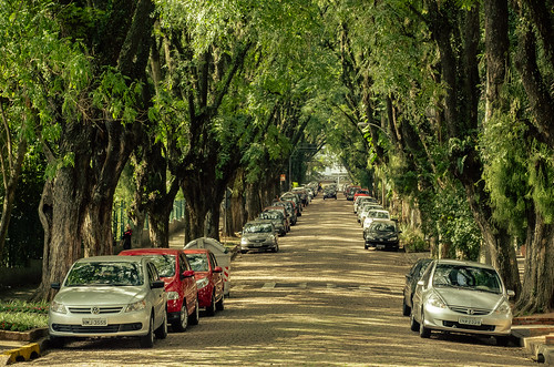 Ini Dia Jalan Paling Indah di Dunia!