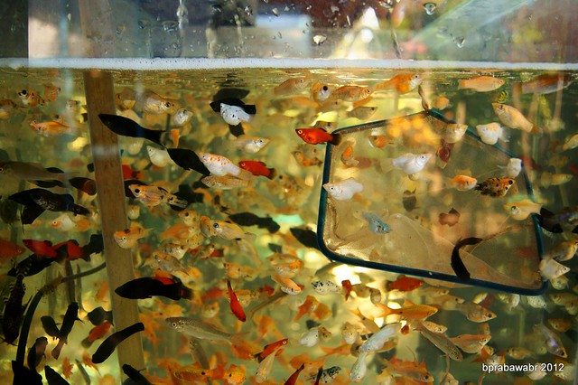 nongkrong-bareng-kritik-jujur-dan-brutal