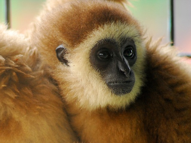 discussion-photograpy-in-medan