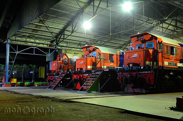 alun-alunnya-nikonian---part-10