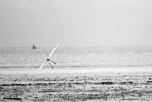 discussion-photograpy-in-medan