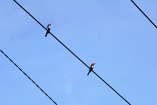 discussion-photograpy-in-medan