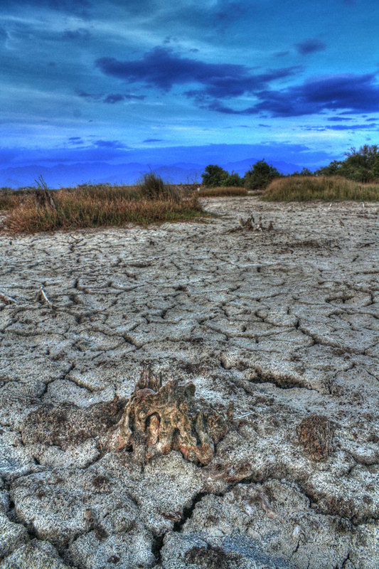 nongkrong-bareng-yang-masih-amatiran-dan-newbie---part-4