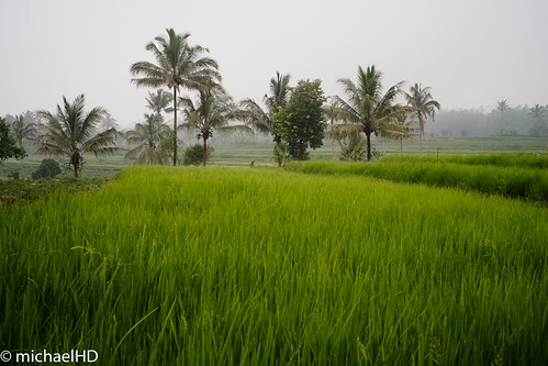 Perkenalan Hasil Jepretan Kamera Fujifilm X-E1