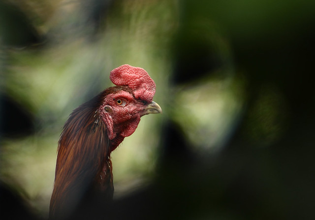 nongkrong-bareng-yang-masih-amatiran-dan-newbie---part-4