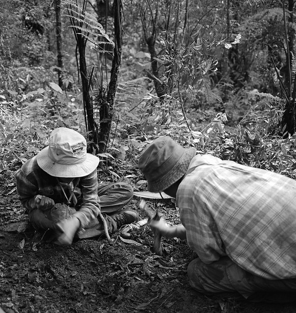 Jasa Cuci-Scan Film BW (hitam putih) ukuran 135/35mm - Bandung