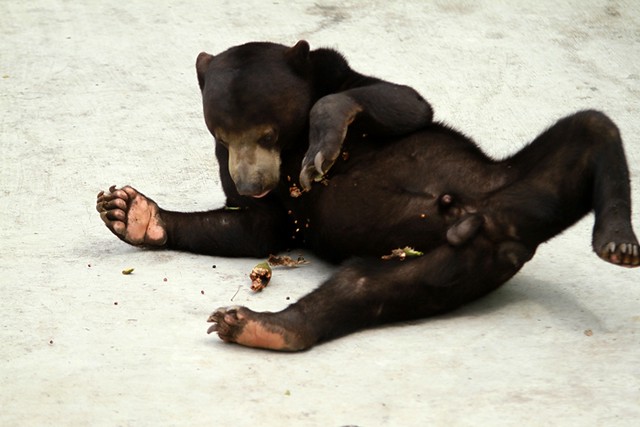 discussion-photograpy-in-medan