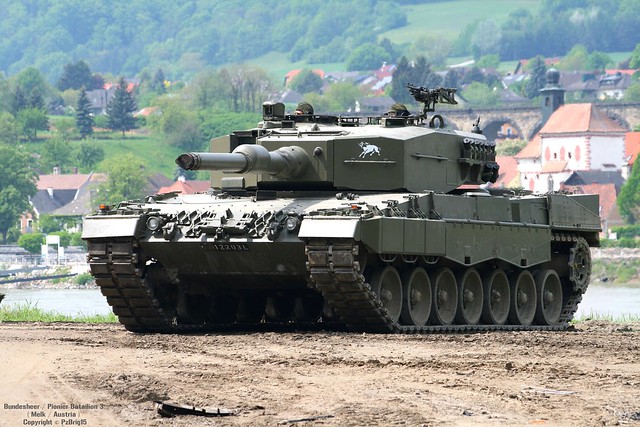 [PIC] Photo Sungguhan Kalau Leopard 2 Ternyata bisa juga Ambless Blesss ...