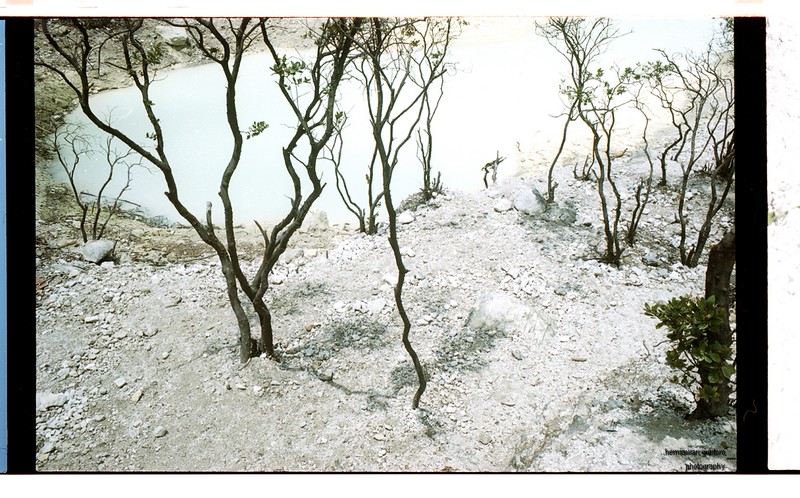 nongkrong-bareng-analog---film-camera---part-4