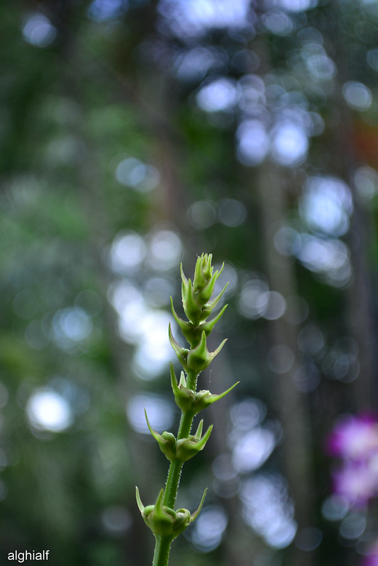 nongkrong-bareng-yang-masih-amatiran-dan-newbie---part-4