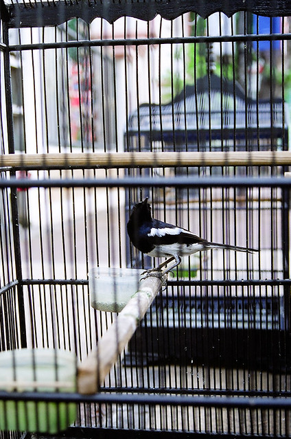 nongkrong-bareng-analog---film-camera---part-4