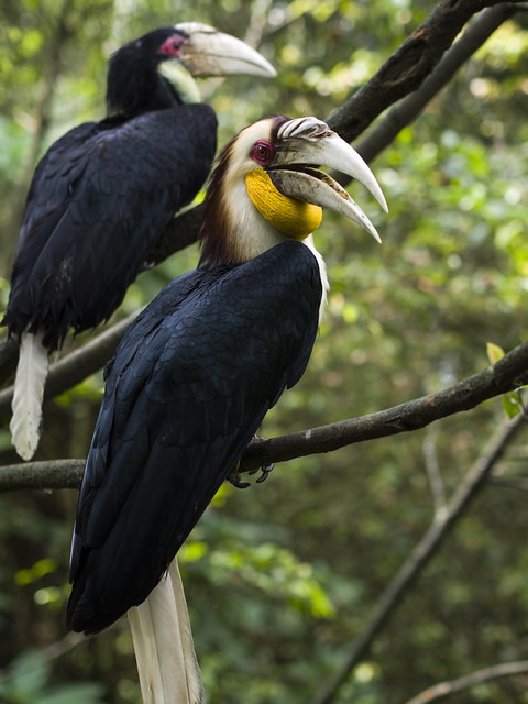 rumah-olympus---part-2