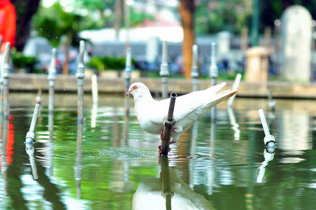 nongkrong-bareng-lensa-50mm-normal-lens