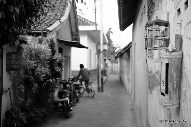 pendopo-sony-alpha---part-4