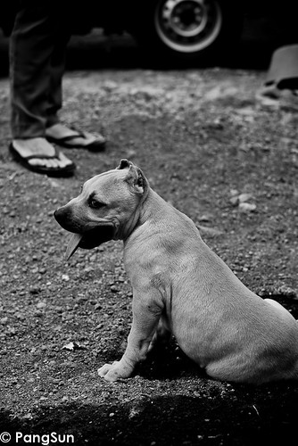 saung-lensa-manual---part-2