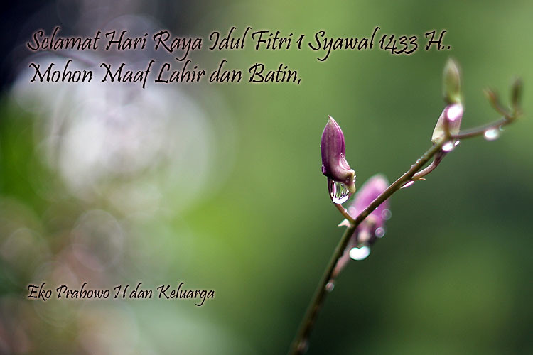 saung-lensa-manual---part-2