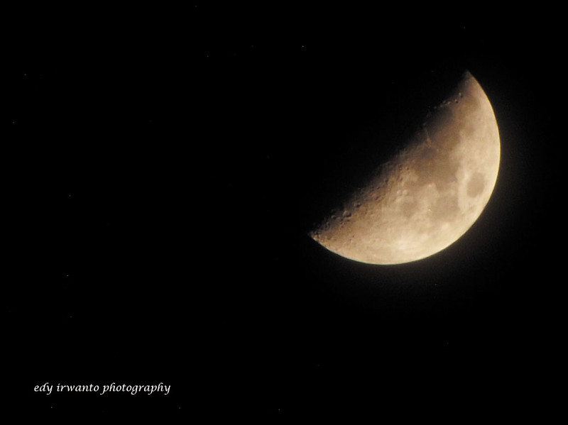 nongkrong-bareng-kritik-jujur-dan-brutal