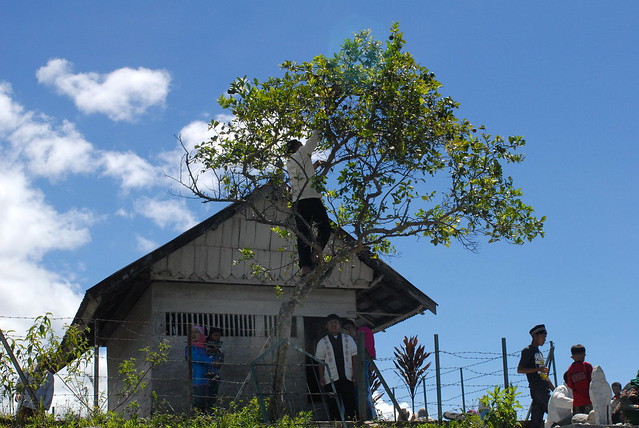 post-image