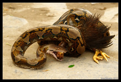 photo-games-foto-di-bawah-saya