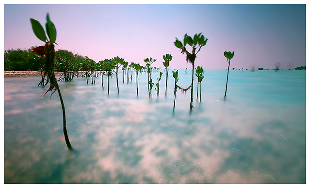 kampung-canoners---part-13