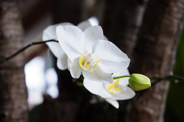 saung-lensa-manual---part-2