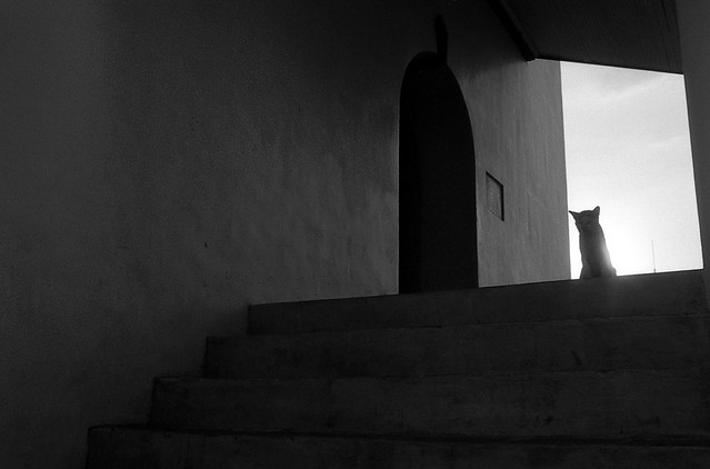 nongkrong-bareng-analog---film-camera---part-4