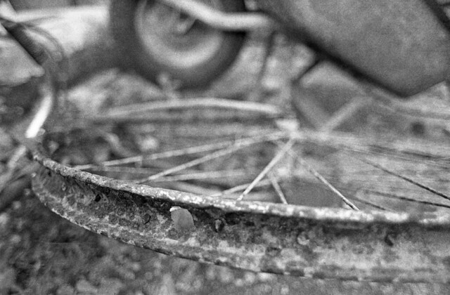 nongkrong-bareng-analog---film-camera---part-4