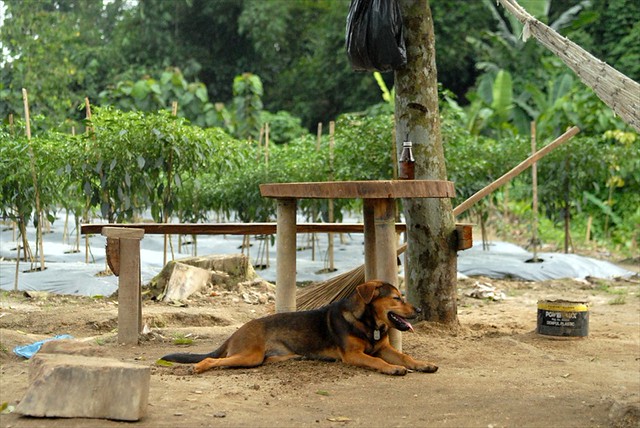 discussion-photograpy-in-medan