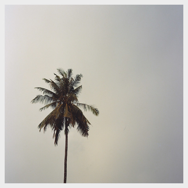 nongkrong-bareng-analog---film-camera---part-4