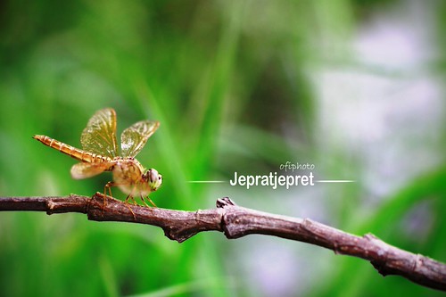 nongkrong-bareng-yang-masih-amatiran-dan-newbie---part-4