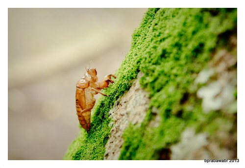 nongkrong-bareng-yang-masih-amatiran-dan-newbie---part-4