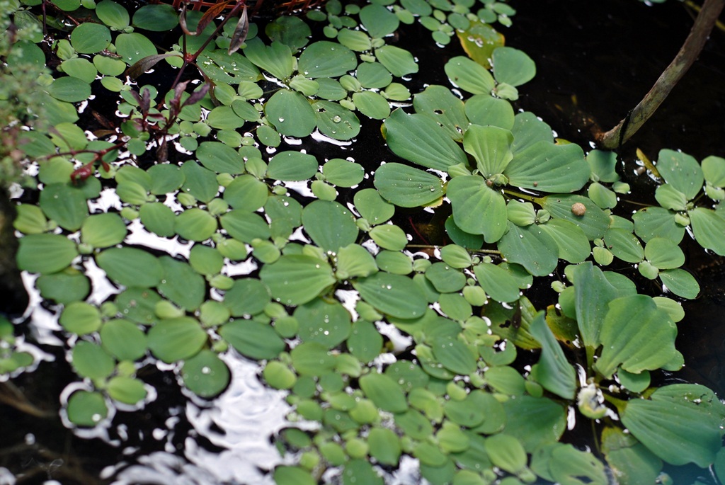 discussion-photograpy-in-medan