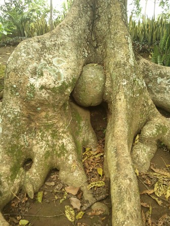 &#91;Jalan-jalan&#93; Jember Expedition &quot;Edisi Duplang&quot;